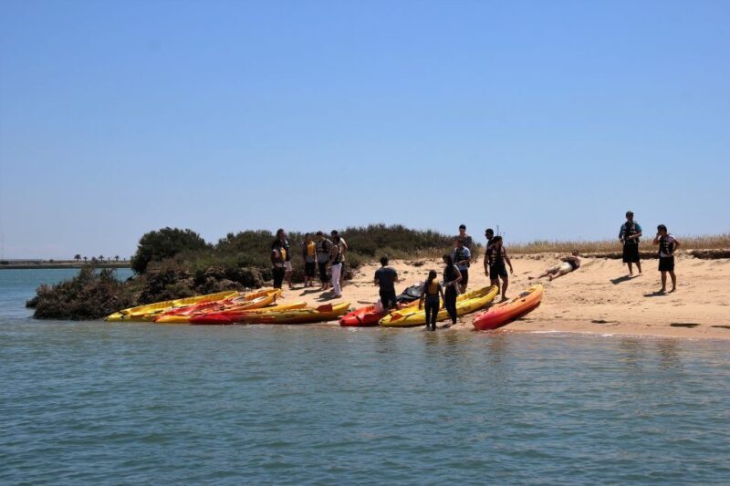 Ria Formosa National Park: Kayak Trip - Experience the Quiet Beauty of Ria Formosa by Kayak