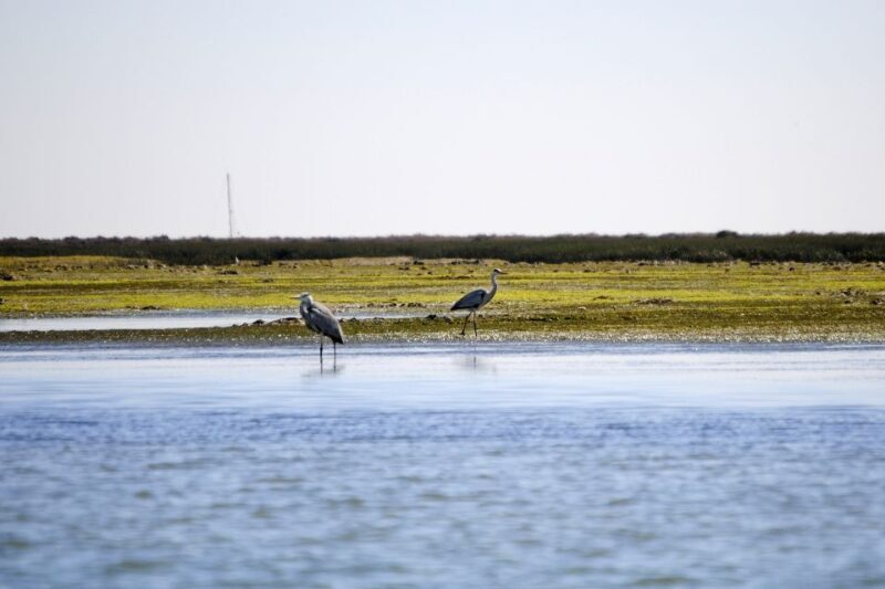 Ria Formosa National Park: Kayak Trip - Final Thoughts