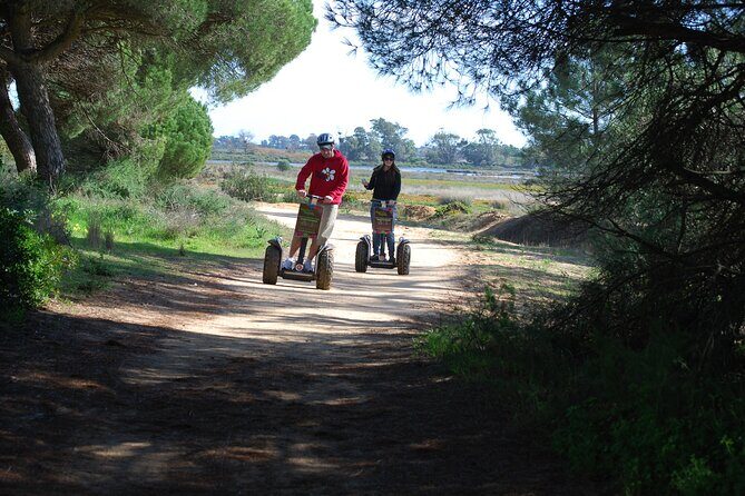 Ria Formosa Natural Park Birdwatching Segway Tour from Faro - An In-Depth Look at the Tour Experience