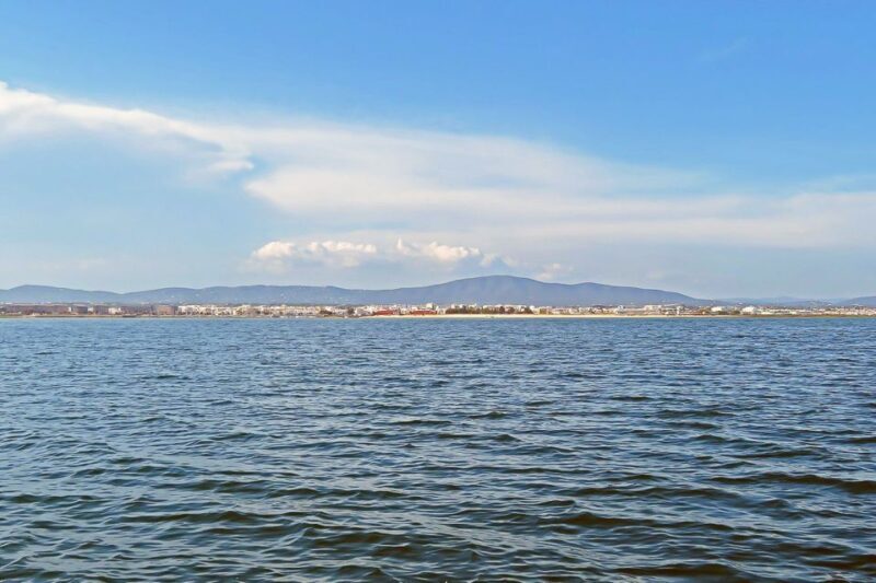 Ria Formosa: Sightseeing boat Tour from Olhão - An In-Depth Look at the Ria Formosa Private Boat Tour