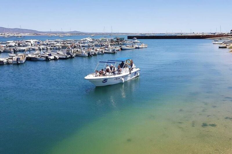 Ria Formosa: Sightseeing boat Tour from Olhão - Who Should Consider This Tour?