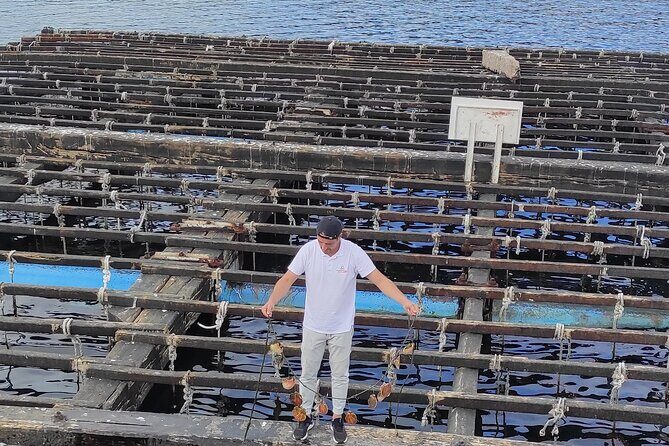 Rias Baixas PRIVATE Shore tour - Key Points