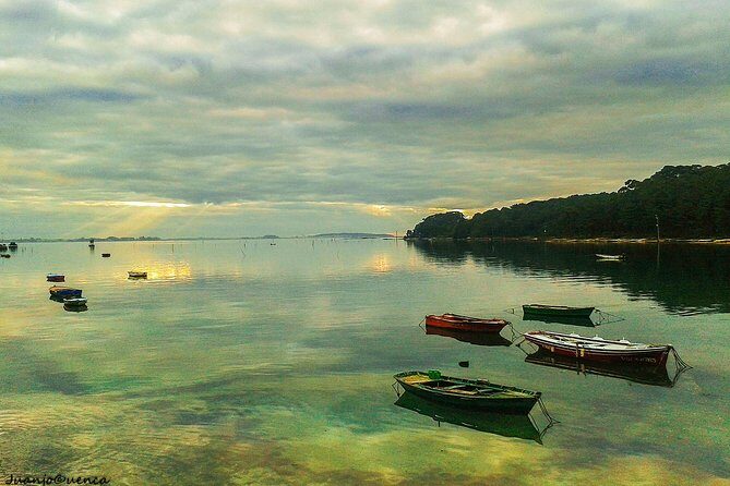 Rías Baixas Private Tour with Wine Tasing, Food, Mussels Boat and Pickup - FAQ