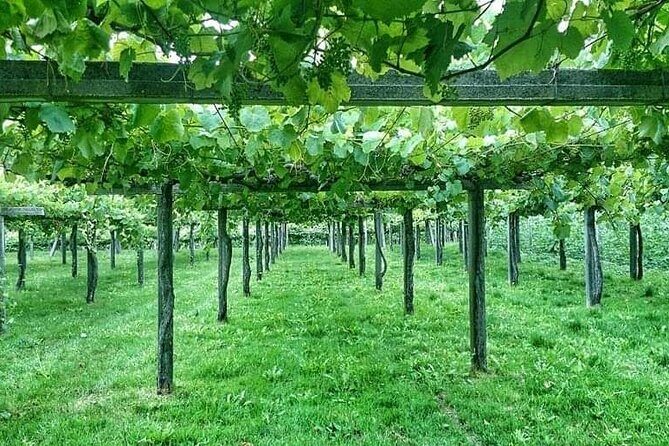 Rías Baixas Tour - Who Will Enjoy This Tour?