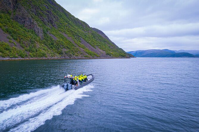 RIB Expedition to Seiland National Park - 3.5h - Summary: Why Choose This Tour?