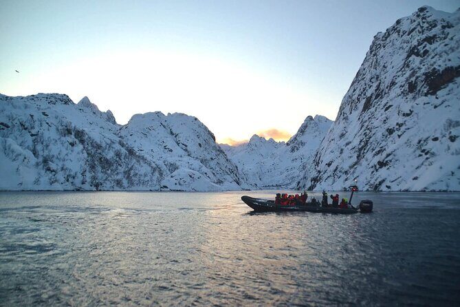 RIB Sea Eagle Safari Trollfjord Cruise - FAQ