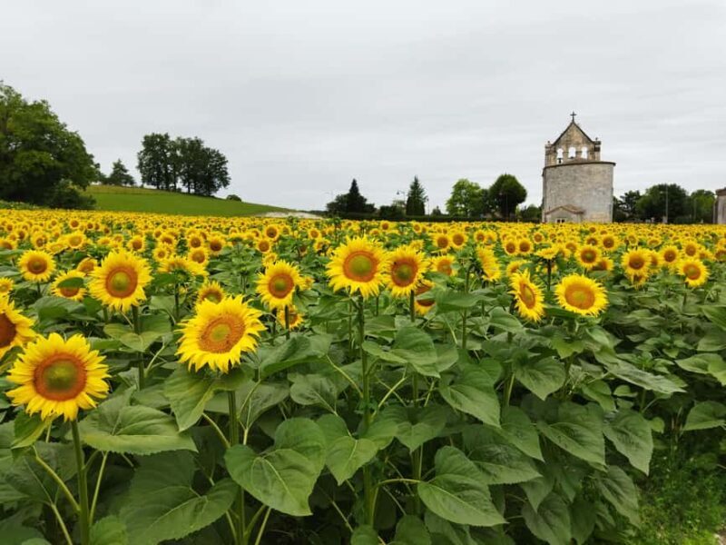 Ribagnac: Théo's Gourmet Tour - The Authentic Experience