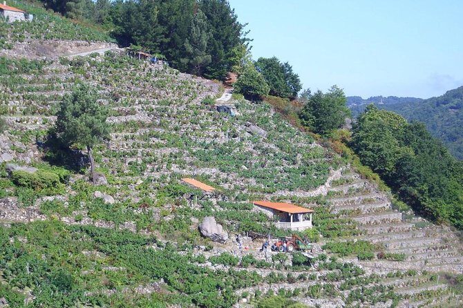 Ribeira Sacra From Lugo - Why this tour offers value