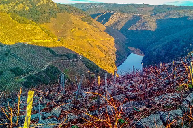 Ribeira Sacra, "Heroic Wines" Private Tour from Santiago - What to Expect During the Wineries Visits