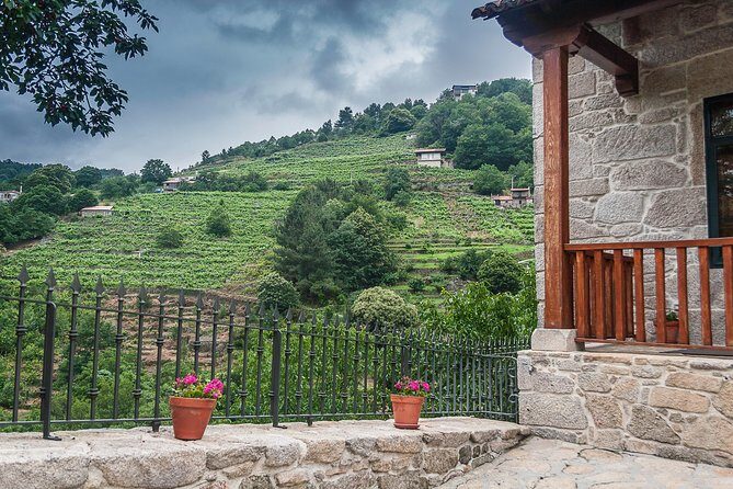 Ribeira Sacra, "Heroic Wines" Private Tour from Santiago - Transport and Comfort
