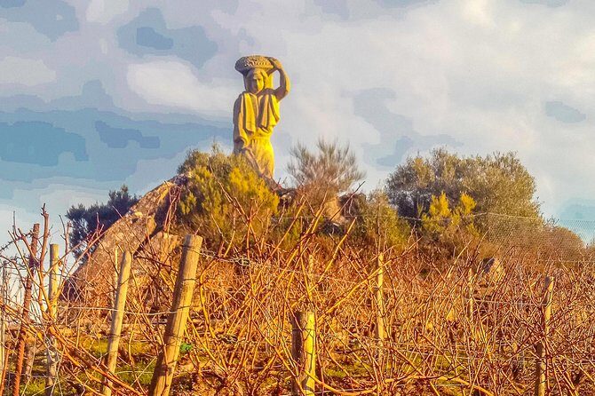 Ribeira Sacra, "Heroic Wines" Private Tour from Santiago - Who is This Tour Best For?