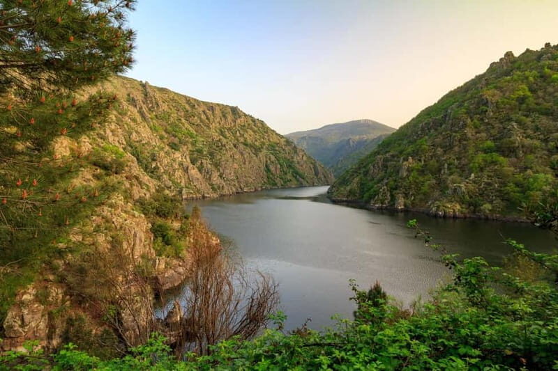 Ribeira Sacra & Ourense Day Tour with Catarmaran Cruise - A Day Exploring Galicia’s Beauty: Ribeira Sacra & Ourense with a Catamaran Cruise
