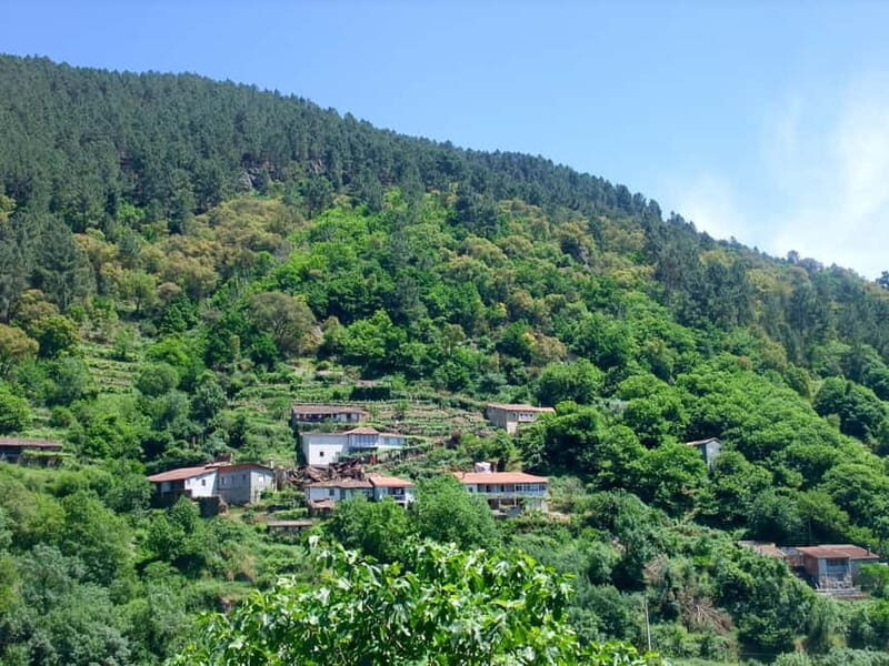 Ribeira Sacra & Ourense Day Tour with Catarmaran Cruise - Final Thoughts