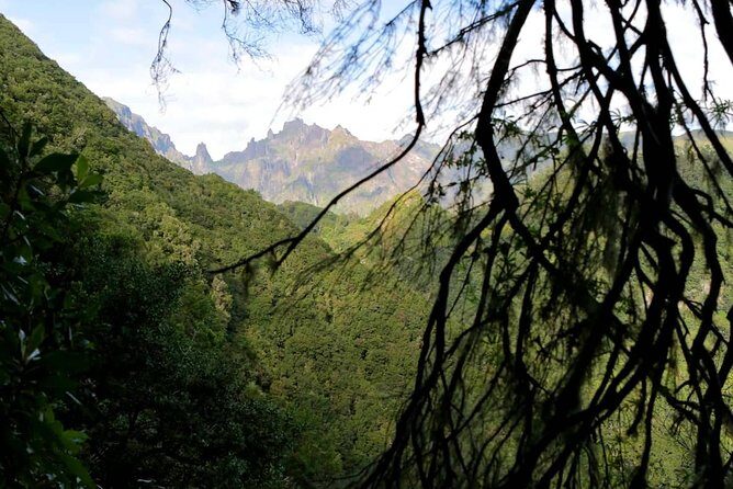 Ribeiro Frio - Portela - The Perfect Fit for You