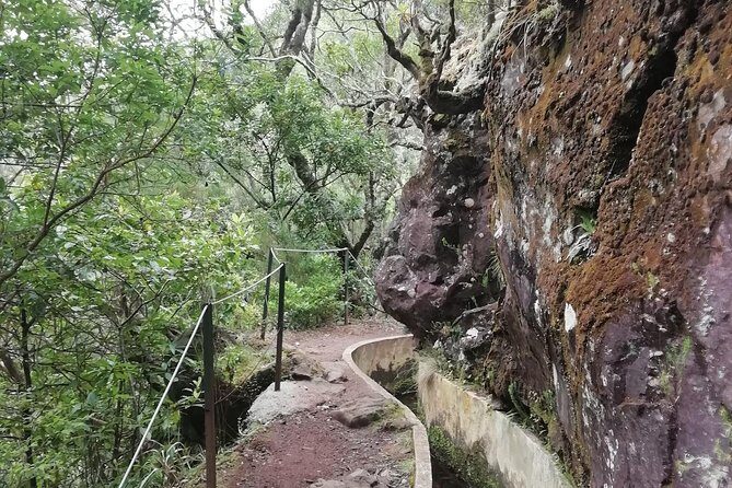 Ribeiro Frio - Portela - Insights from Travelers
