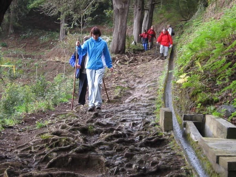 Ribeiro Frio / Portela Full day hike - Final Thoughts