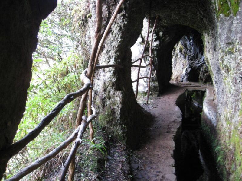 Ribeiro Frio / Portela - Levada Walk - Ribeiro Frio / Portela - Levada Walk: An Authentic Madeira Adventure
