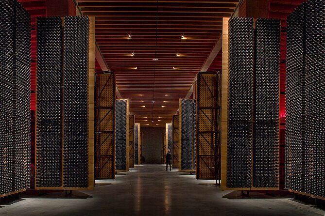 Ribera and Rioja Wineries Private Tour from Madrid - Ribera and Rioja Wineries Private Tour from Madrid: An In-Depth Look