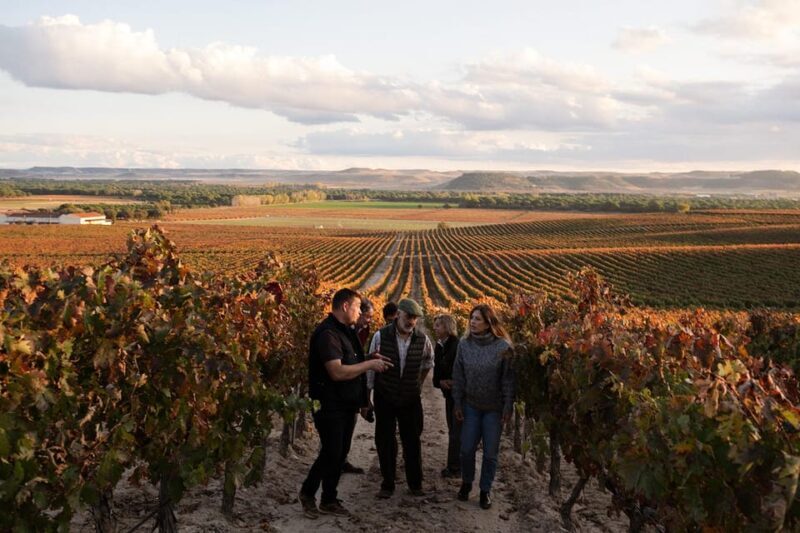 Ribera del Duero: Experience, vineyard and 4x4 mountain, aperitif and tasting. - A Detailed Look at the Ribera del Duero Experience