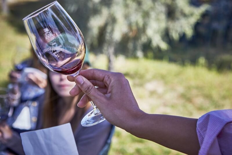 Ribera del Duero: Red Wine Discovery Tour with Tastings - A Closer Look at the Ribera del Duero Wine Experience