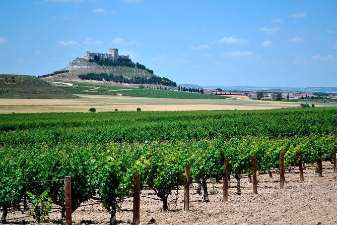 Ribera del Duero Small Group Tour: Tapas & Wine Tasting - Discovering the Ribera del Duero Small Group Tour: Tapas & Wine Tasting