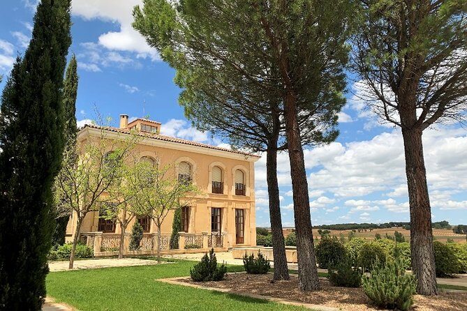 Ribera del Duero Small Group Tour: Tapas & Wine Tasting - Who Would Enjoy This Tour?