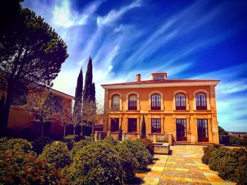 Ribera del Duero Tour: From Madrid to Ribera del Duero - lunch included - Final Stop: Aldubon for a Sweet Finish