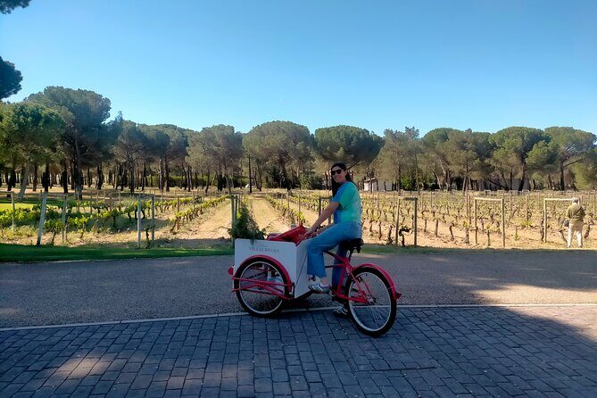 Ribera del Duero Tour: Three Wineries & Lunch from Madrid - A Detailed Look at the Ribera del Duero Experience