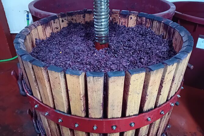 Ribera del Duero Tour: Three Wineries & Lunch from Madrid - Frequently Asked Questions
