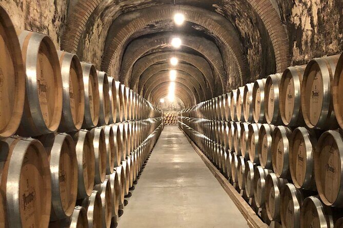 Ribera del Duero Tour: Two Wineries with Transport from Madrid - A Deep Dive into the Ribera del Duero Tour Experience