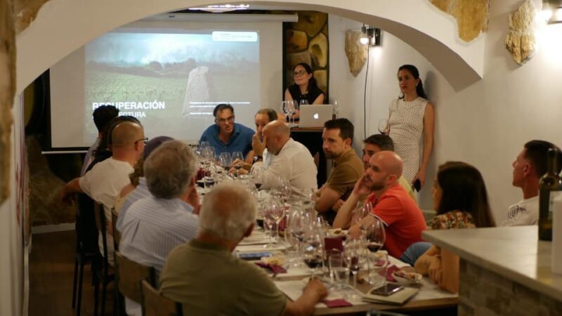 Ribera del Duero: Wine Tasting with Tapas Pairing - Who Should Book This Tour?