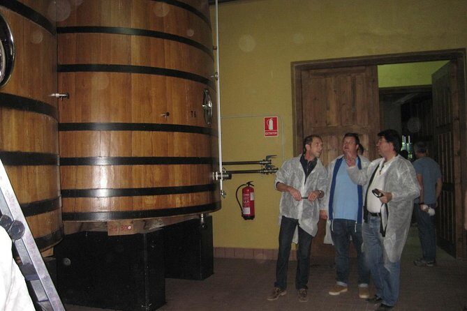 Ribera del Duero Winery Guided Tour and Wine Tasting from Madrid - What Makes This Tour Stand Out