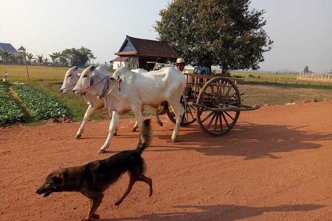 Rice Fields & Rural Villages Tour - Exploring the Itinerary in Detail