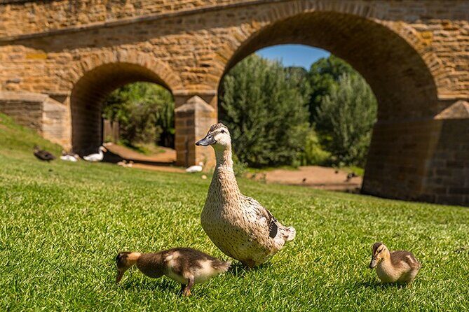 Richmond Historic Afternoon Tour from Hobart - Pricing and Value