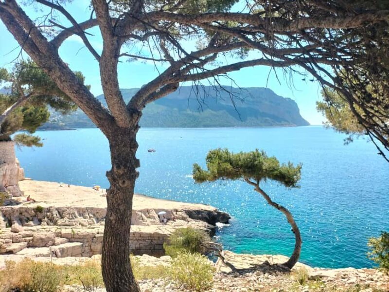 Richness of Provence in one day - customizable private trip - A Comprehensive Look at the Richness of Provence in One Day Private Tour