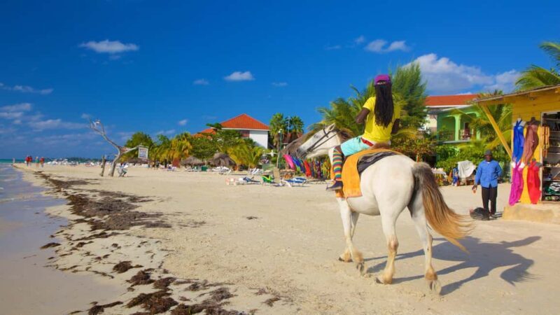Ricks cafe & 7mile Beach Private Tour from Montego Bay. - First Impressions and Transportation