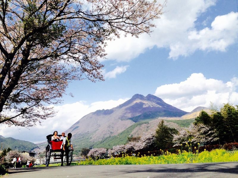Rickshaw Experience in Yufuin - What You See on the 30-Minute Route