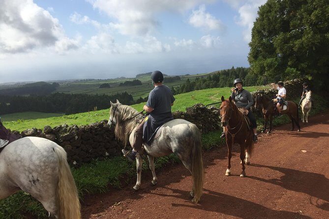 ride a volcano - go to the gardens in the woods - Key Points