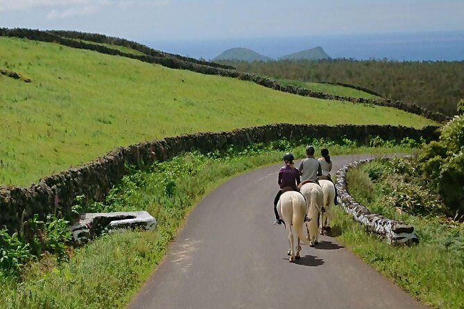 ride a volcano - go to the gardens in the woods - Authentic Feedback from Travelers