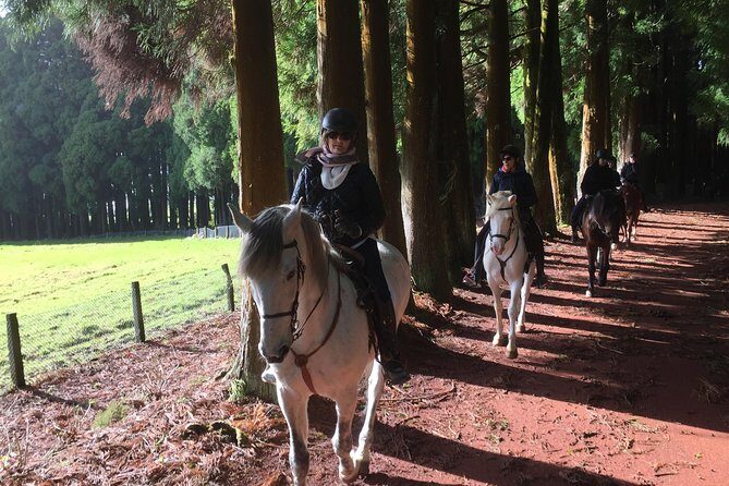 ride a volcano - go to the gardens in the woods - Practical Details: What You Should Know