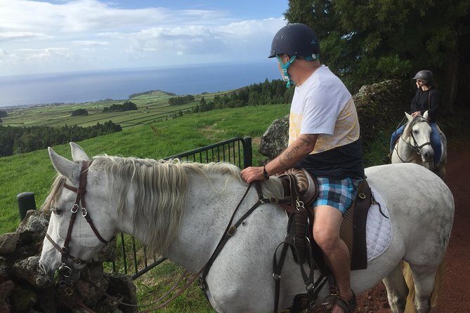 ride a volcano - go to the gardens in the woods - The Sum Up: Who Should Consider This Tour?