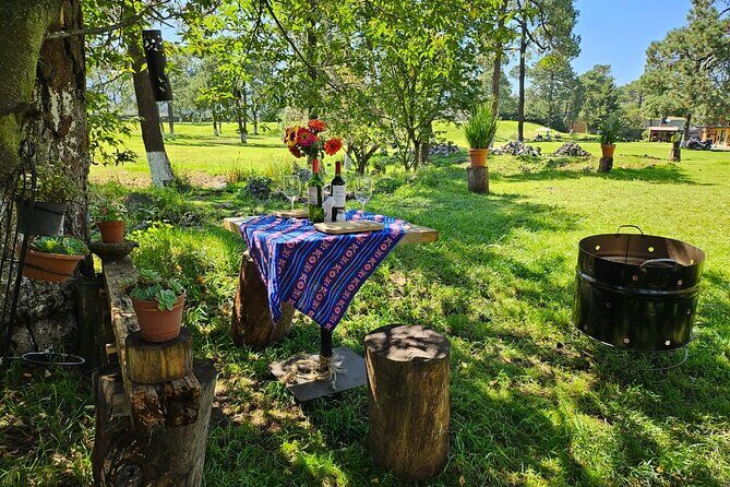 Ride Ajusco mountain trails & enjoy a ranch barbecue - The Sum Up