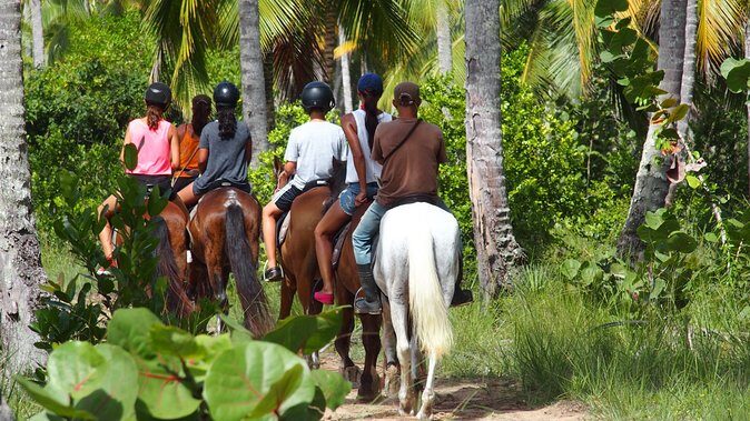Ride Horses on the Beach - An In-Depth Look at the Horseback Ride Experience