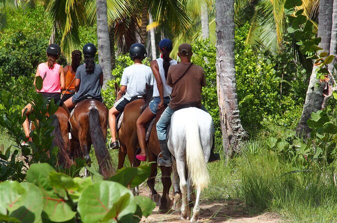 Ride Horses on the Beach - The Sum Up: Who Should Book?