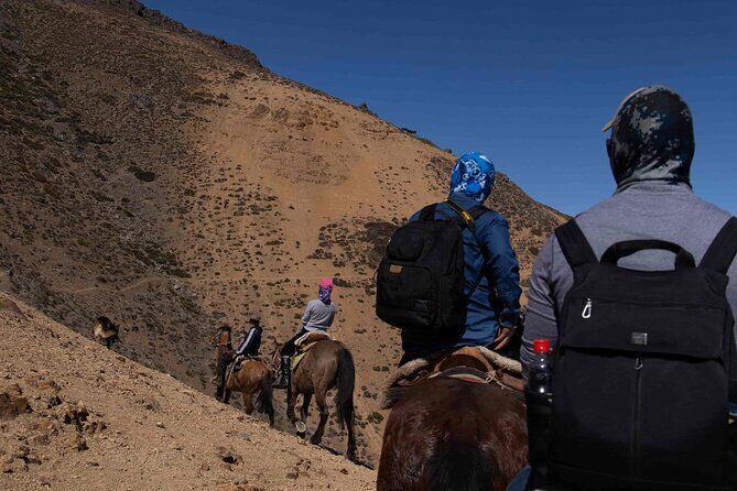 Ride in the semi-private Andes with roast - Key Points