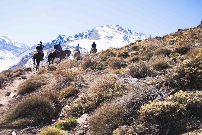 Ride in the semi-private Andes with roast - An In-Depth Look at the Andes Horseback Experience