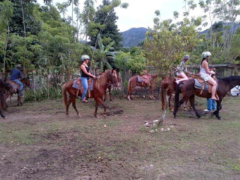 Ride N Zip Adventure in Puerto Plata - Final Thoughts: Who Should Consider This Tour?