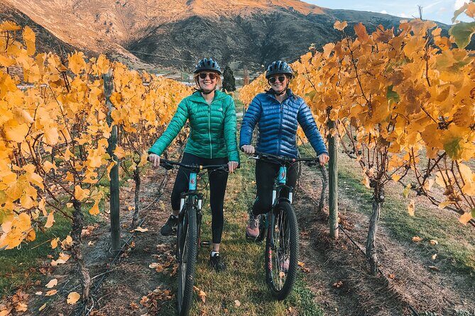 Ride Queenstowns Stunning Trails on a Mountain Bike - The Sum Up