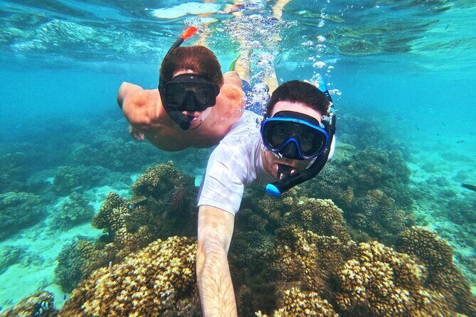 Ride & Slide by South Sea Cats - Half Day Snorkelling Trip - Final thoughts: