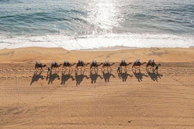 Ride the Wild Camel Safari and Off Road Rush - A Closer Look at the Experience